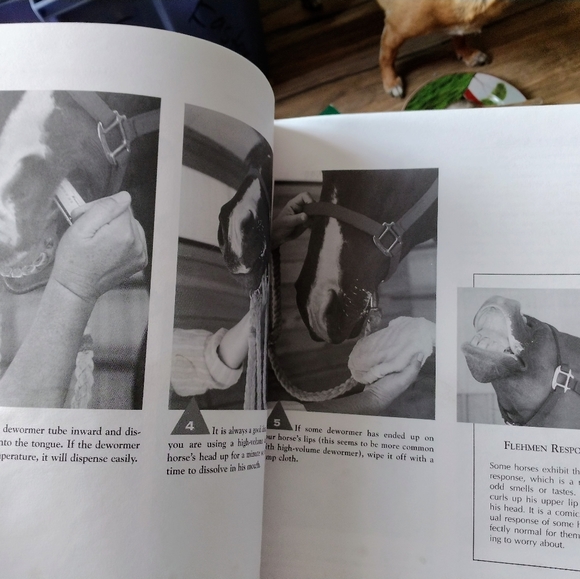Horse Health Care Book - Picture 2 of 2